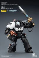 Warhammer 40,000 Actionfigur Raven Guard Terminator 1...