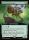 Thornvault Forager (Bloomburrow #364)