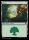 Forest (Foil) (Bloomburrow #377)