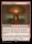 Festival of Embers (Foil) (Bloomburrow #134)