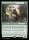 Keen-Eyed Curator (Foil) (Bloomburrow Promos #181p)