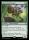 Thornvault Forager (Bloomburrow Promos #197p)