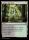 Golgari Rot Farm (Bloomburrow Commander #308)