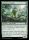 Sunshower Druid (Foil) (Bloomburrow #195)