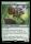 Thornvault Forager (Foil) (Bloomburrow #197)