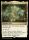 Three Tree City (Foil) (Bloomburrow Promos #260p)