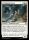 Driftgloom Coyote (Foil) (Bloomburrow #11)