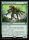 Wildgrowth Archaic (Secrets of Strixhaven #168)