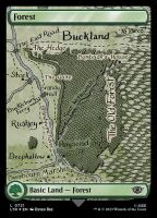 Forest (Foil) (The Lord of the Rings: Tales of...