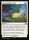 Morningtides Light (Lorwyn Eclipsed #27)