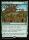 Sapling Nursery (Lorwyn Eclipsed Promos #192p)