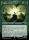 Legolas, Master Archer (Foil) (The Lord of the Rings: Tales of Middle-earth #805)
