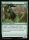 Evolution Sage (Lorwyn Eclipsed Commander #105)