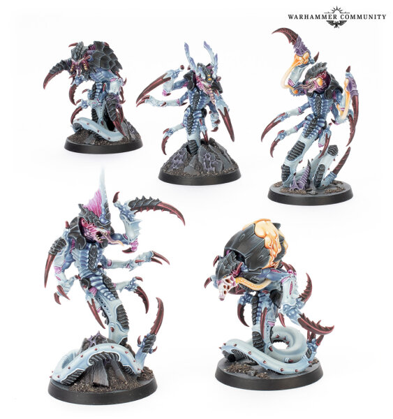 Warhammer 40K Kill Team Box Typhon DEUTSCH, 104,00 €