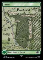 Forest (Foil) (The Lord of the Rings: Tales of...