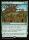 Sapling Nursery (Foil) (Lorwyn Eclipsed #192)