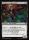 Poisoners Apprentice (Foil) (Secrets of Strixhaven #92)