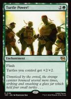 Turtle Power! (Teenage Mutant Ninja Turtles #135)