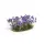 Gamers GrassViolet Flowers Tufts Basegestaltung für Modellbau und Tabletop