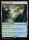 Sodden Verdure (Secrets of Strixhaven Commander #406)