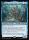 Sygg, Wanderwine Wisdom // Sygg, Wanderbrine Shield (Foil) (Lorwyn Eclipsed #76)