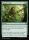 Natures Lore (Secrets of Strixhaven Commander #278)