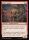 Elder Auntie (Foil) (Lorwyn Eclipsed #133)