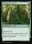 Abundant Growth (Lorwyn Eclipsed Commander #97)
