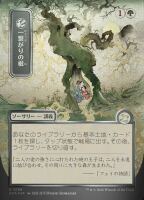 Shared Roots (Foil) (Secrets of Strixhaven Mystical...
