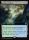 Sodden Verdure (Lorwyn Eclipsed Commander #44)