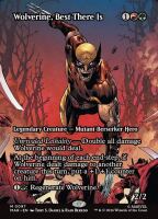 Wolverine, Best There Is (Marvel Universe #97)