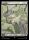 Swamp (Foil) (The Lord of the Rings: Tales of Middle-earth #276)