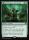 Germination Practicum (Foil) (Secrets of Strixhaven #149)