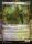 Morcants Loyalist (Foil) (Lorwyn Eclipsed #341)