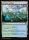 Paradox Gardens (Foil) (Secrets of Strixhaven #258)