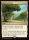 Exotic Orchard (Lorwyn Eclipsed Commander #148)
