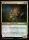 Old-Growth Educator (Foil) (Secrets of Strixhaven #207)