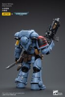 Warhammer 40k Actionfigur 1/18 Space Wolves Intercessors 12 cm