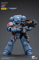Warhammer 40k Actionfigur 1/18 Space Wolves Intercessors 12 cm