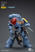 Warhammer 40k Actionfigur 1/18 Space Wolves Intercessors 12 cm