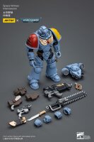 Warhammer 40k Actionfigur 1/18 Space Wolves Intercessors 12 cm