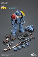 Warhammer 40k Actionfigur 1/18 Space Wolves Intercessors 12 cm