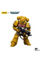 Warhammer 40k Actionfigur 1/18 Imperial Fists Intercessors 12 cm