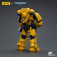 Warhammer 40k Actionfigur 1/18 Imperial Fists Intercessors 12 cm