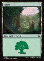 Forest (Foil) (Secrets of Strixhaven #280)