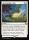 Morningtides Light (Foil) (Lorwyn Eclipsed Promos #27p)