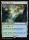 Sodden Verdure (Lorwyn Eclipsed Commander #24)