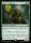 Elvish Archdruid (Foil) (Foundations #219)