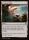 Evolving Wilds (Foundations #262)