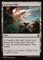 Evolving Wilds (Foil) (Foundations #262)